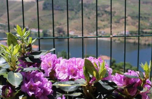 Casa José Lourenço - Foto 49