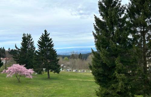 Ferienwohnung Mecarda in Sankt Englmar - Foto 8