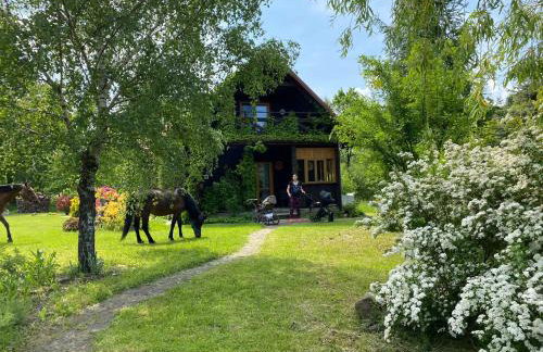 DOMEK LUBENIA - Foto 29