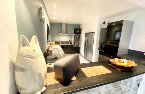 GITE DE L'ASPE 135m2, 6p, 3ch avec piscine privative, jardin ombragé clos - Foto 11