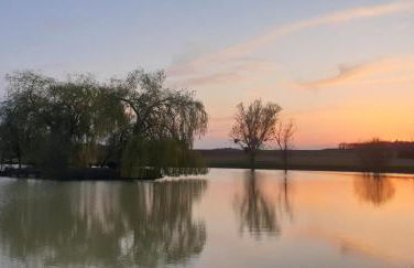 La maison poitevine - Foto 14