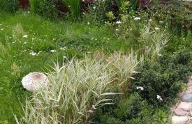 Uroczysko Sosnówka - Foto 16