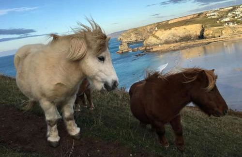 Beach Lovers Paradise in Portreath - With Sea Views & Log Burner just 100m from beach - Photo 44