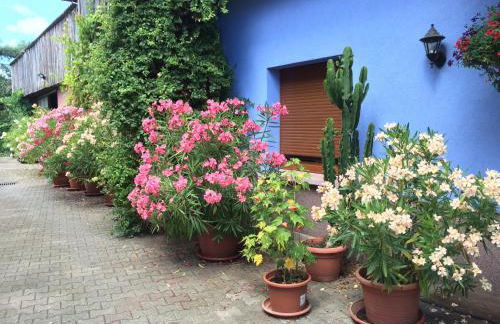 Gite Du Rittersberg - Foto 36