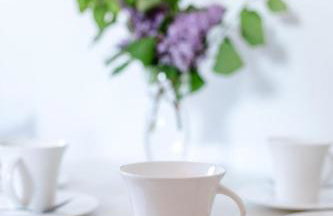 Apartment mit Parkplatz und Fahrradunterstellmöglichkeit mit Balkon nah am Wald by Interhome - Foto 7