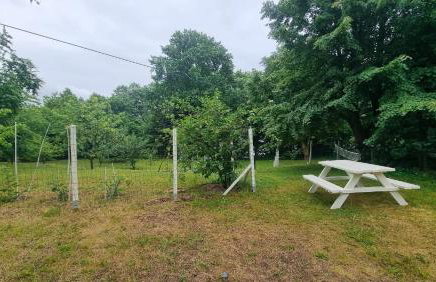 Willa Gowidlina - Foto 51