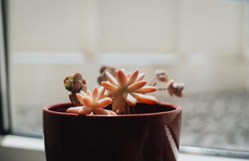 Sea & Rocks 15 - House - Photo 74