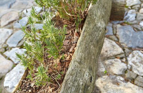 Atrapos Hotel - Foto 13