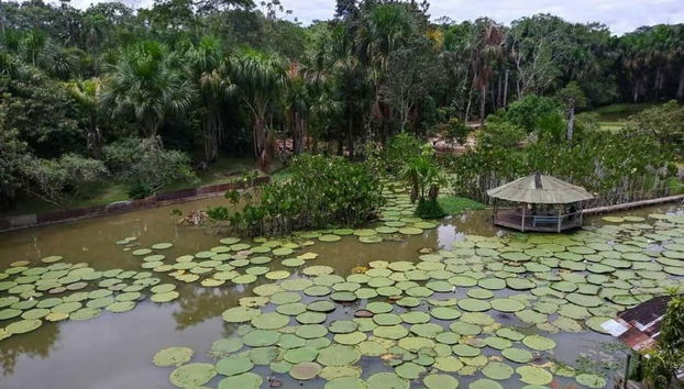 Nauta & Amazon River Source Trip - Foto 3