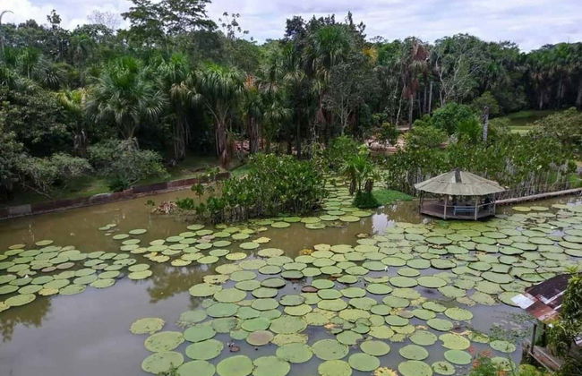 Escursione al Rio delle Amazzoni e ai fiumi Nanay e Momón - Foto 4