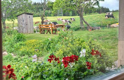 Hohwarthof - Foto 15