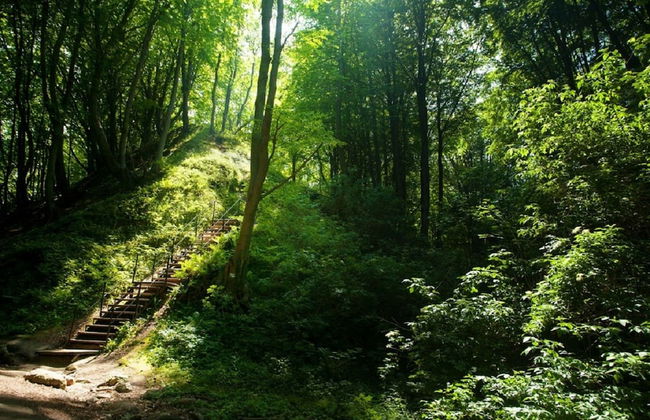 Willa Kaskada - Foto 31