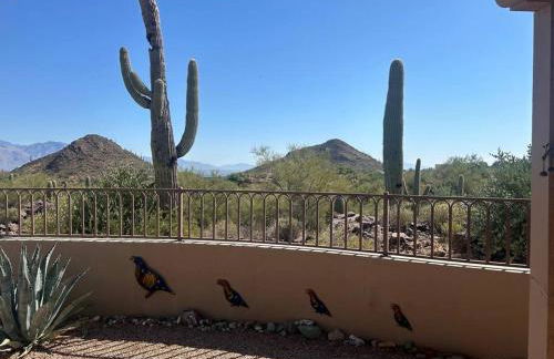 Tucson Mnt Foothills Saguaro Bliss - Foto 30