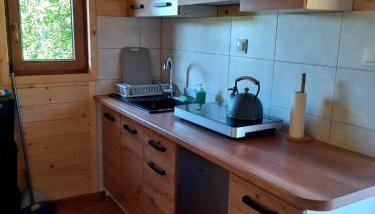 Domki na Górce w Bukowcu nad Soliną - Foto 4, stove