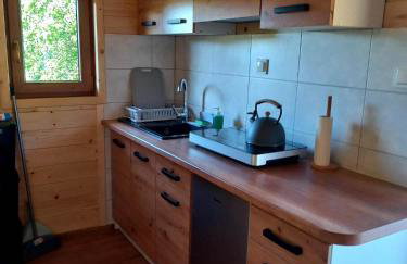 Domki na Górce w Bukowcu nad Soliną - Foto 4