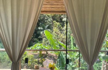 Jungle paradise in Paraty - Foto 13