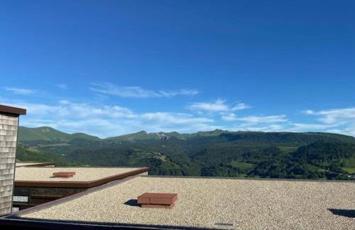 Appartement duplex avec vue sur le Sancy et garage couvert - Foto 6