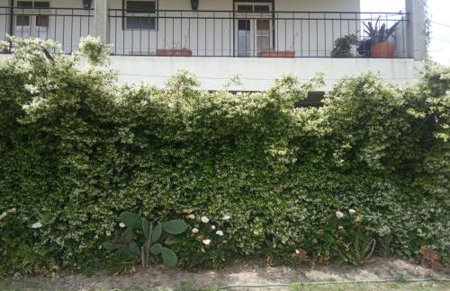 Quinta do Arieiro - Foto 9