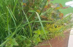 Casa Rural Rincón - Foto 32