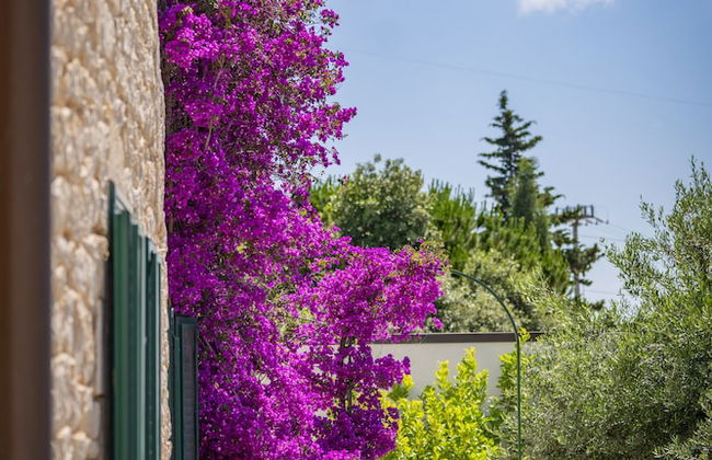 Masseria Montepaolo - Photo 73