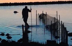 Gleis acht - Foto 17