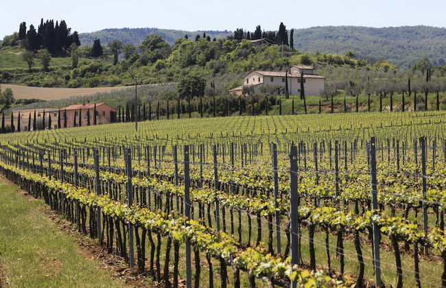 Le Buche Wine Resort & Spa - Foto 41