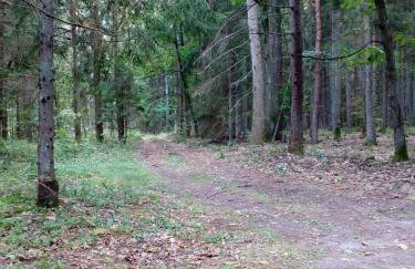 W starej szkole - agroturystyka - Foto 60