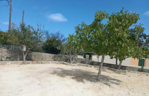 Traditional House - Photo 23