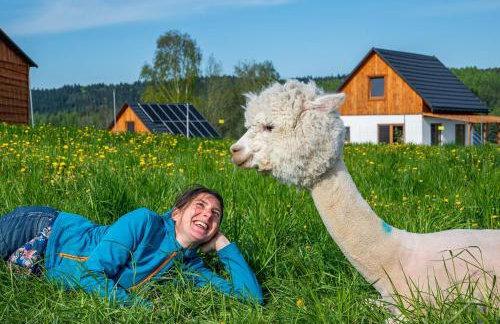 Pastelova Krova - domki w Bieszczadach - Foto 49