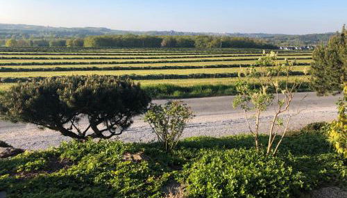 Apartment im Grünen - Foto 5