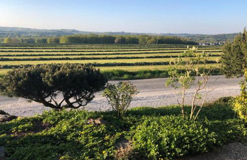 Ferne und Weite im Sauerland Blick über das Ruhrtal - Foto 20