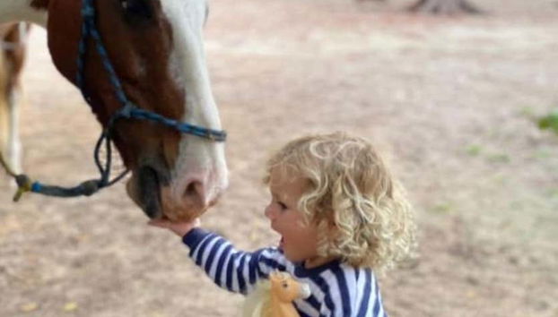 Passeggiata a cavallo a Holbox - Foto 3