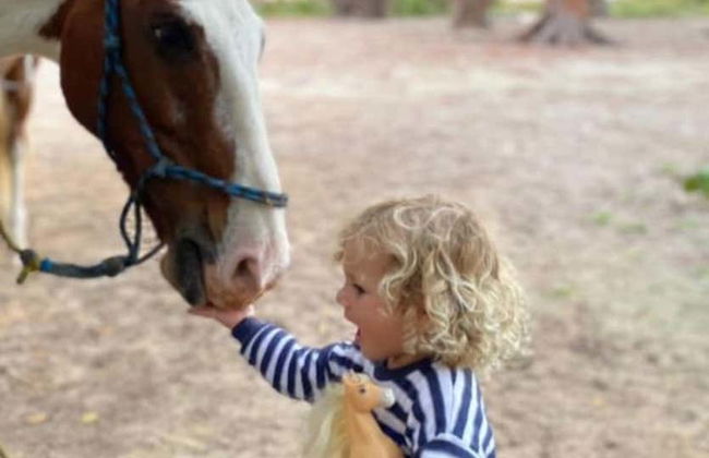 Passeggiata a cavallo a Holbox - Foto 3