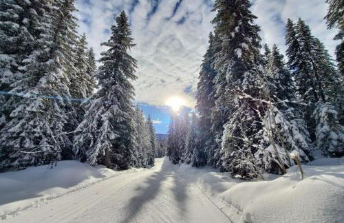 Chaleureux studio au pied des pistes - Le refuge - Foto 35