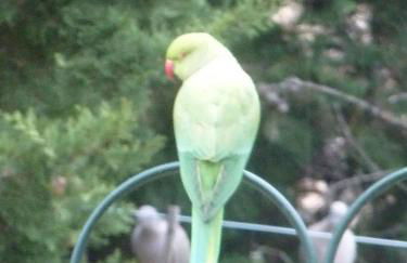 Luxurious private 100sqm studio with infinity pool - Foto 12