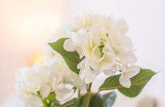 Brand-New 3-Bed Home - Liverpool - Foto 21