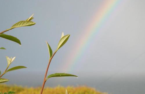 The cabin with the view - Photo 15