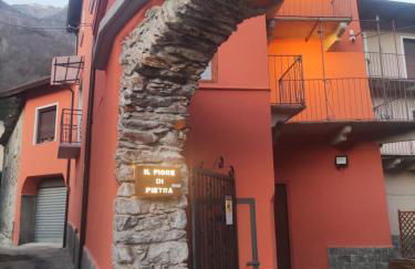 Il fiore di pietra - Foto 1