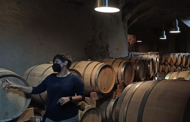 Langhe Wine & Food Tour au départ de Turin: Barolo et plus - Photo 10