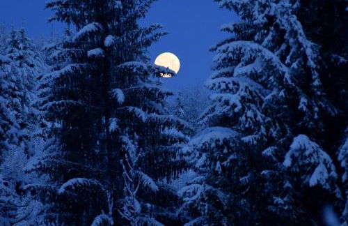 B&B Mas de Lagorae - Photo 6