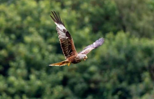 The Gardeners Cottage - Foto 27