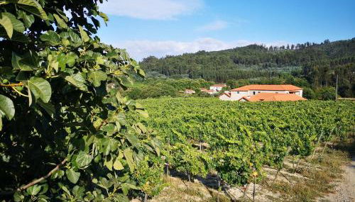 Casa da Portela - Sem Igual - Foto 2