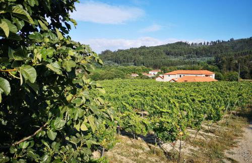 Casa da Portela - Sem Igual - Foto 2