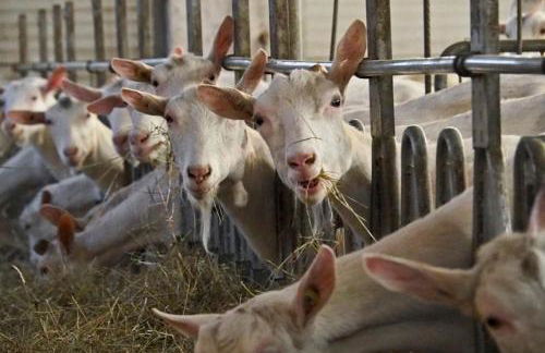 Agriturismo Al Franet - Photo 21