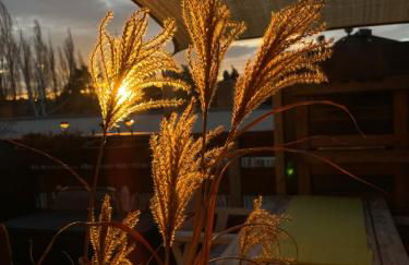 Bambus, Jungle, Dachterrasse & bequem bis Zentrum - Foto 26