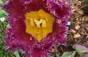 Ferienwohnung Olivenblick Bad Honnef - Foto 47