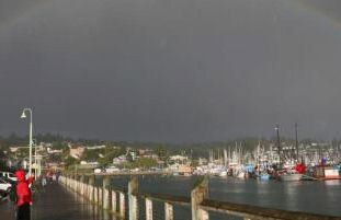 Nye Beach Retreat - Foto 1