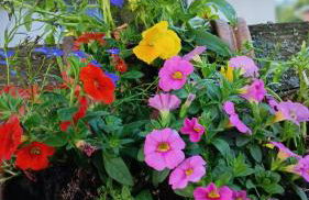 Ferienwohnung Hof Postel - Foto 40