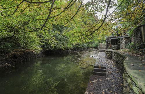 Melin y Coed - Foto 54