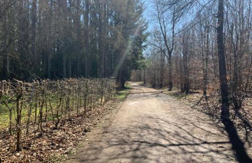 Hencoop 2 room apartment kitchen bathroom and optional Sauna - Photo 38